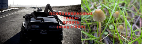 дживик Иноземцево